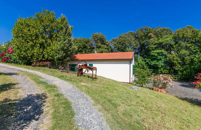 Podere gli Olivi - Foto 34