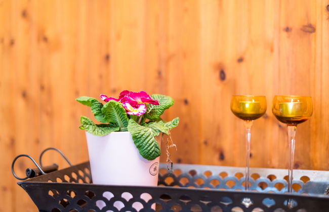 Apartamento de 2 quartos em Schönecken com jardim e terraço - Foto 8