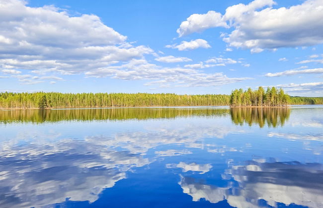 Haus mit 3 Schlafzimmern in Juuka mit sauna - Foto 3