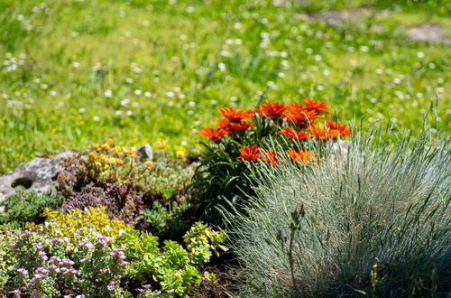 Photo 27 - 1 bedroom Apartment in Opatija with garden and terrace