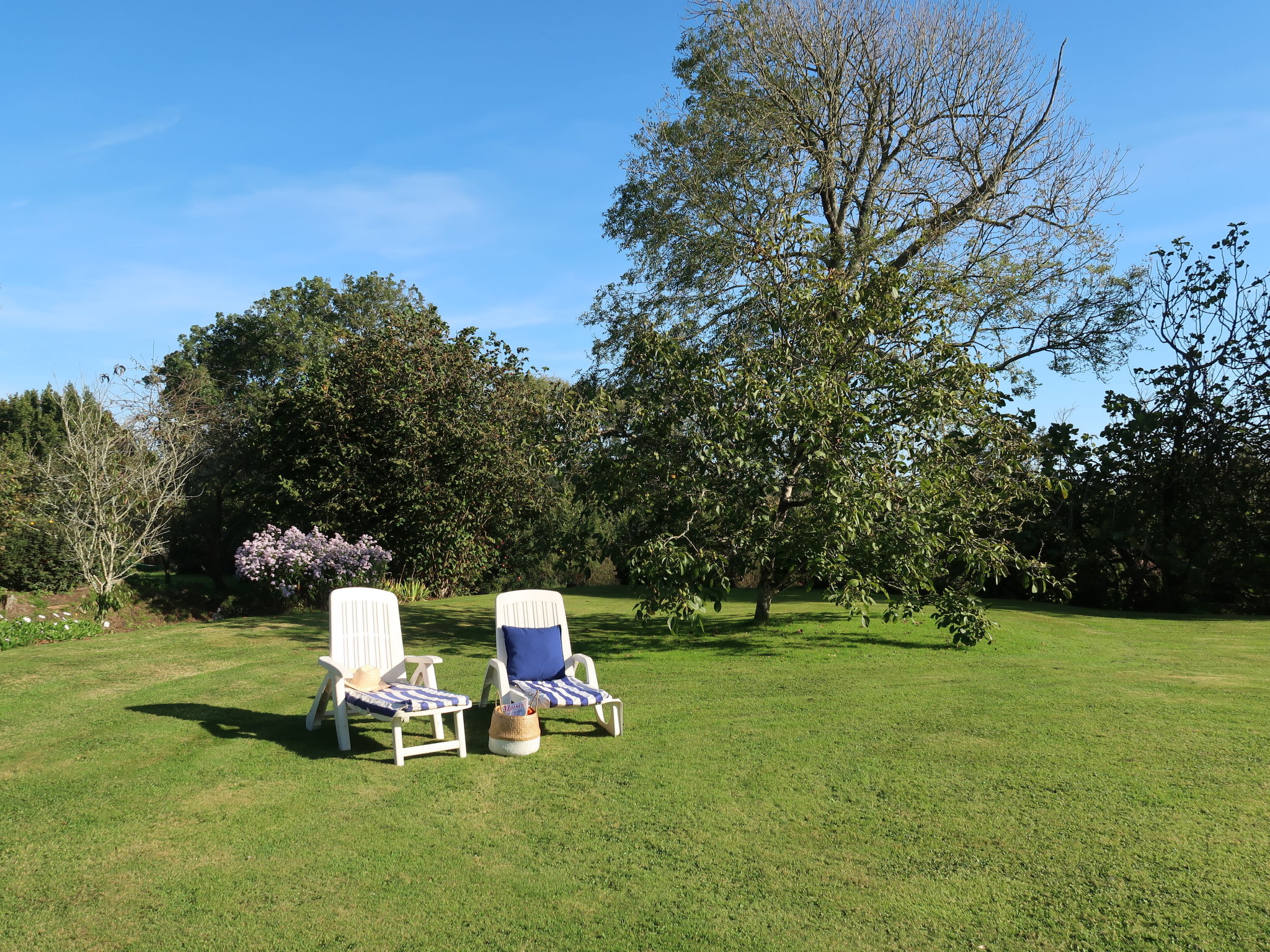 Photo 3 - Maison de 2 chambres à Crozon avec jardin et vues à la mer