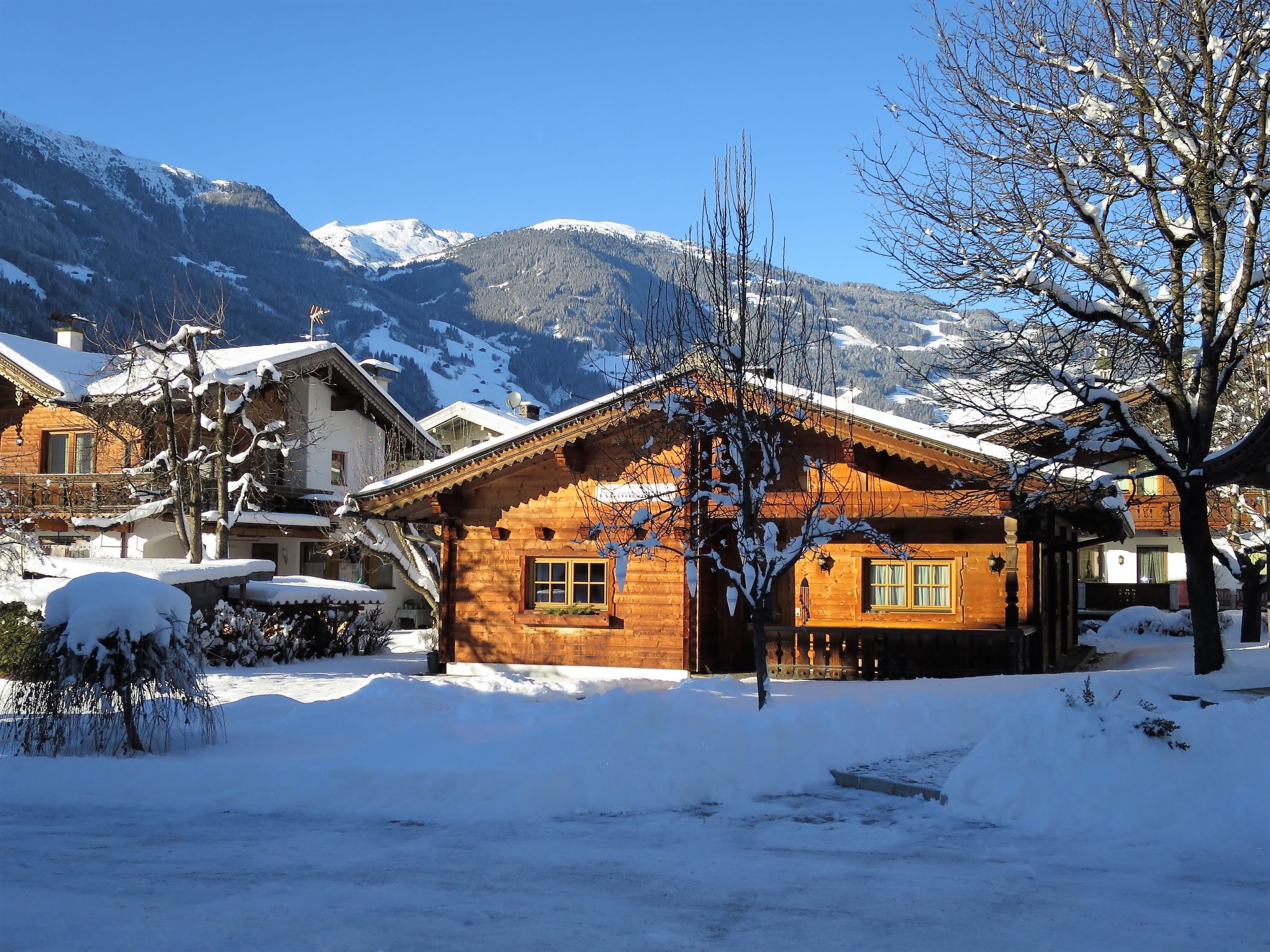 Foto 29 - Haus mit 5 Schlafzimmern in Ramsau im Zillertal mit garten und blick auf die berge