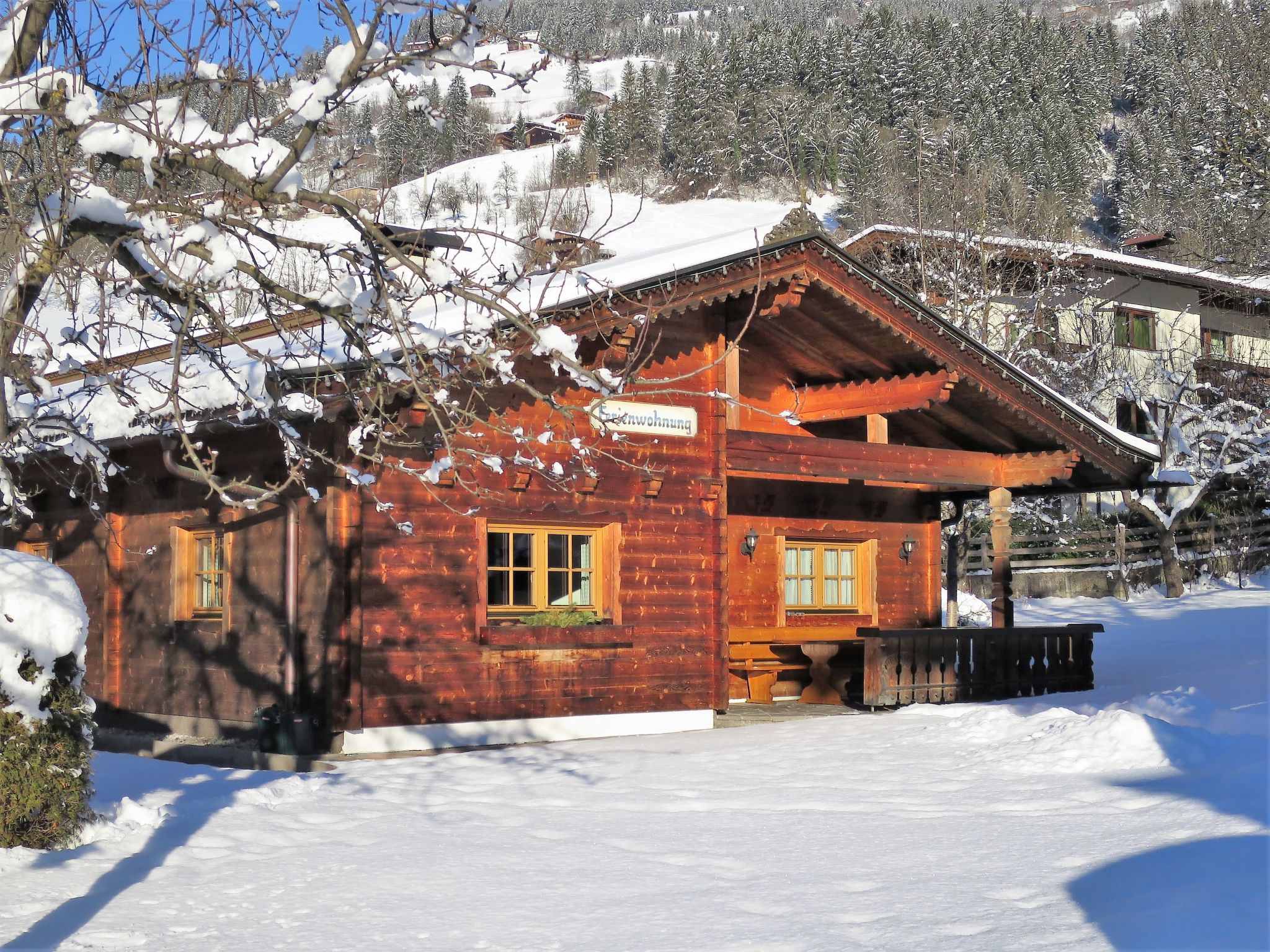 Photo 31 - 5 bedroom House in Ramsau im Zillertal with garden and terrace