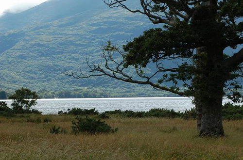 Foto 20 - Casa de 4 quartos em Killarney com jardim e banheira de hidromassagem