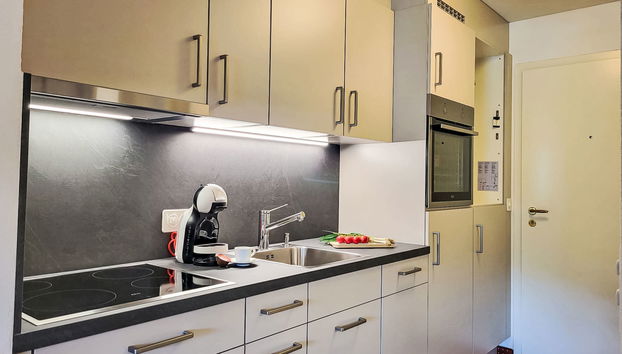 Apartamento de 1 quarto em Caslano com jardim e terraço - Foto 4