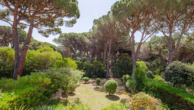 Apartamento de 2 quartos em Sainte-Maxime com piscina e jardim - Foto 4