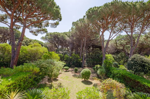 Foto 4 - Apartment mit 1 Schlafzimmer in Sainte-Maxime mit schwimmbad und garten