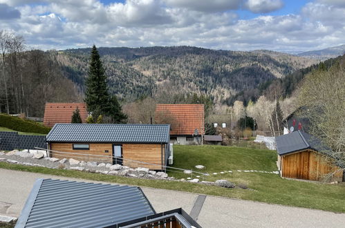 Photo 22 - Appartement de 1 chambre à Ühlingen-Birkendorf avec jardin