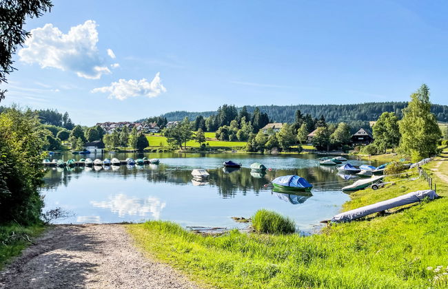 Apartamento de 2 quartos em Ühlingen-Birkendorf com jardim - Foto 27
