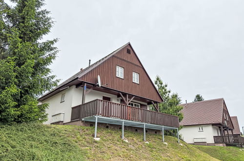 Foto 14 - Casa de 3 quartos em Černý Důl com piscina e jardim