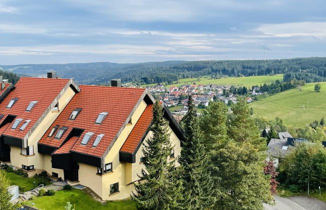 Appartement de 3 chambres à Schonach im Schwarzwald avec jardin - Photo 1