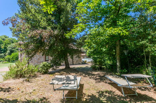 Photo 41 - Maison de 3 chambres à Roccastrada avec piscine privée et jardin