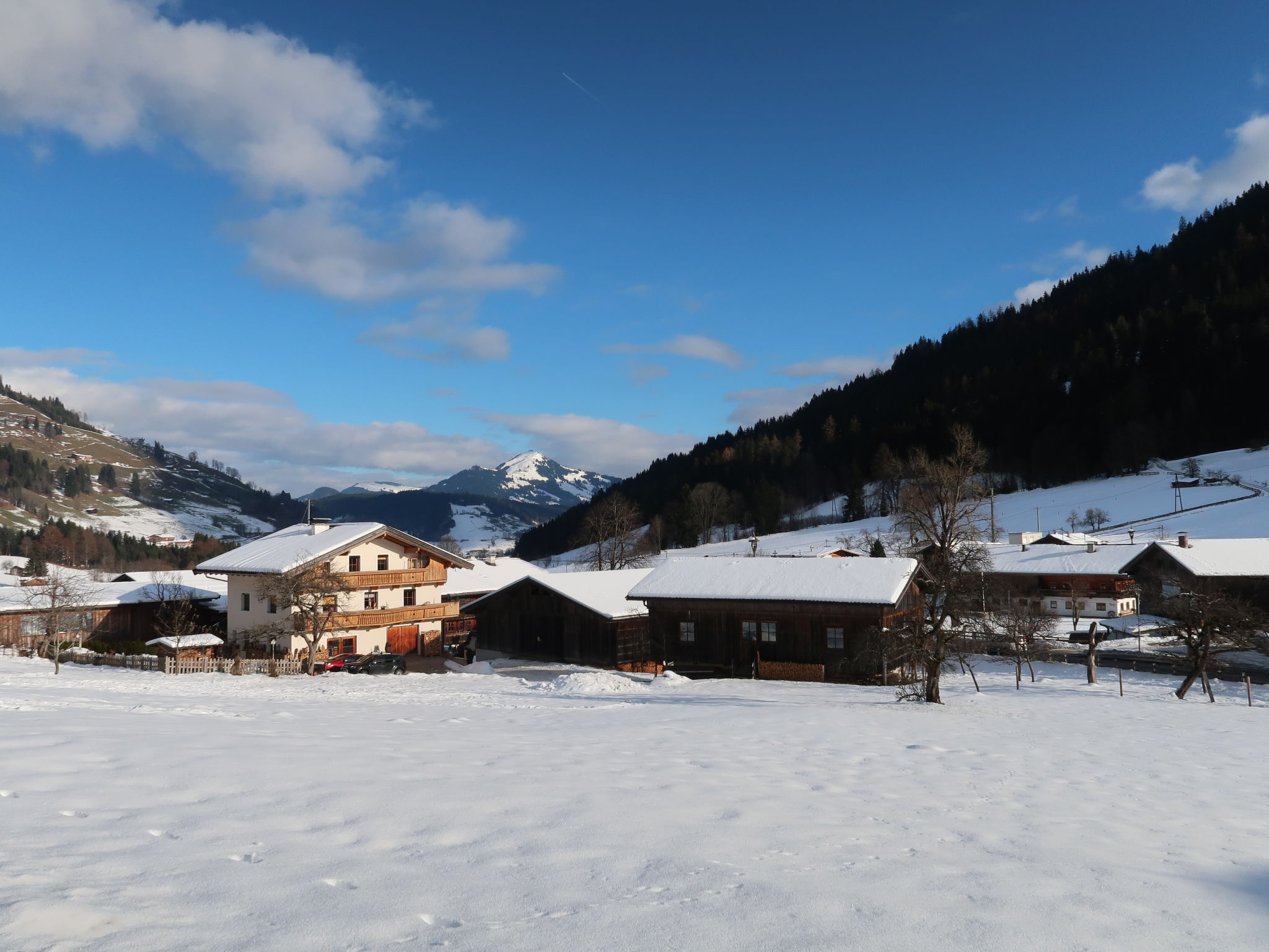 Photo 30 - 1 bedroom Apartment in Wildschönau with garden and mountain view