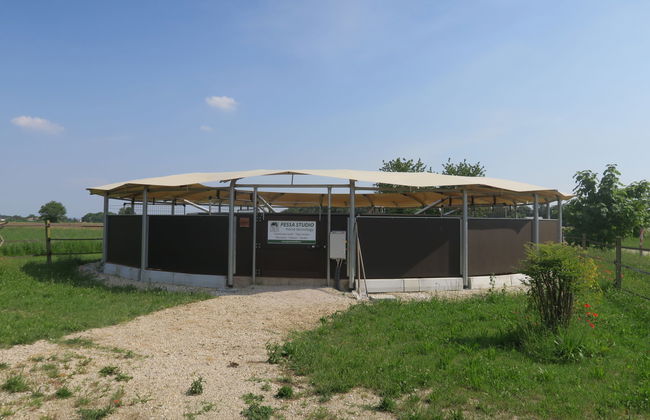 Casa de 3 quartos em Povoletto com piscina e jardim - Foto 35