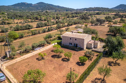 Photo 35 - Maison de 3 chambres à Felanitx avec piscine privée et jardin