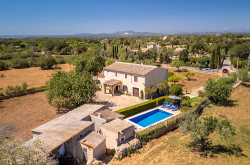 Photo 32 - Maison de 3 chambres à Felanitx avec piscine privée et jardin