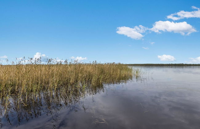 Haus mit 1 Schlafzimmer in Kajaani mit sauna - Foto 30