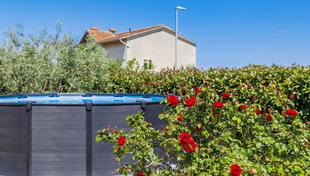 Apartment mit 3 Schlafzimmern in Ližnjan mit privater pool und garten - Foto 2
