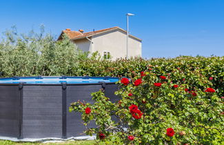 Foto 2 - Apartamento de 2 quartos em Ližnjan com piscina privada e jardim