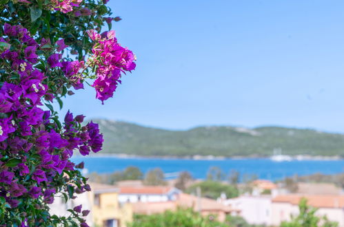 Foto 3 - Appartamento con 2 camere da letto a Santa Teresa Gallura con piscina e giardino