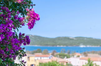 Foto 3 - Appartamento con 2 camere da letto a Santa Teresa Gallura con piscina e giardino