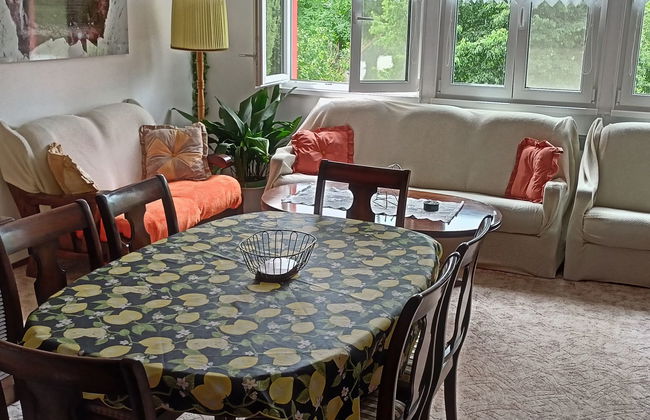 Casa de 4 quartos em Olešná com piscina privada e jardim - Foto 7