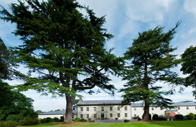 Heyward Mews - Foto 13