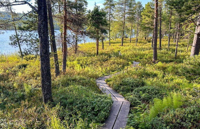 Haus mit 2 Schlafzimmern in Inari mit sauna - Foto 21