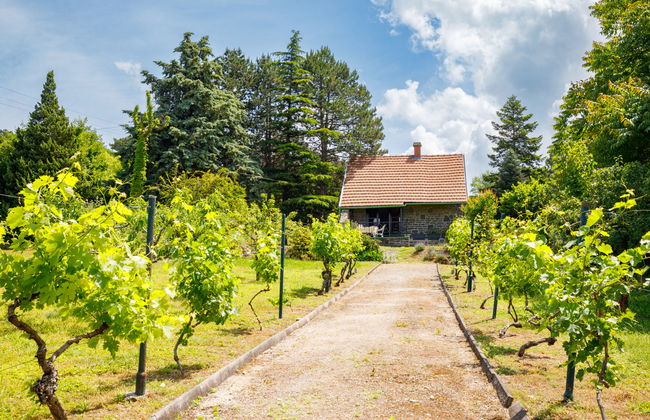 Casa de 2 quartos em Tihany com jardim e terraço - Foto 23