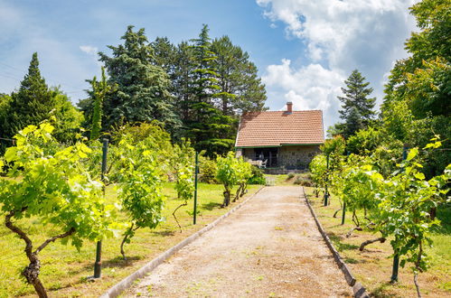 Photo 22 - Maison de 2 chambres à Tihany avec jardin et terrasse