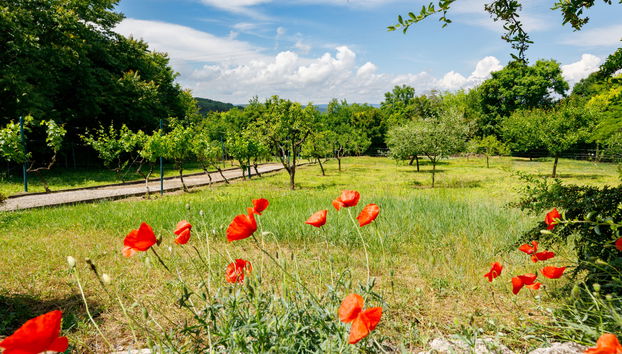 Casa con 2 camere da letto a Tihany con giardino e terrazza - Foto 4
