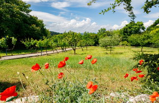 Foto 3 - Casa con 2 camere da letto a Tihany con giardino e terrazza