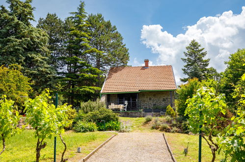 Photo 2 - Maison de 2 chambres à Tihany avec jardin et terrasse