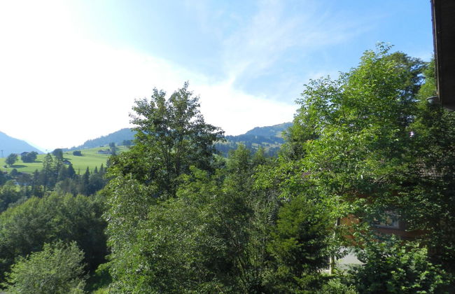 Appartement de 2 chambres à Zweisimmen - Photo 12