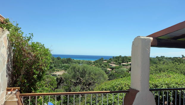 Haus mit 3 Schlafzimmern in Zonza mit schwimmbad und garten - Foto 3