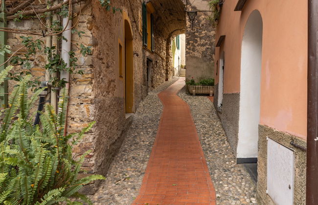 Apartamento de 1 quarto em Civezza com jardim e terraço - Foto 16