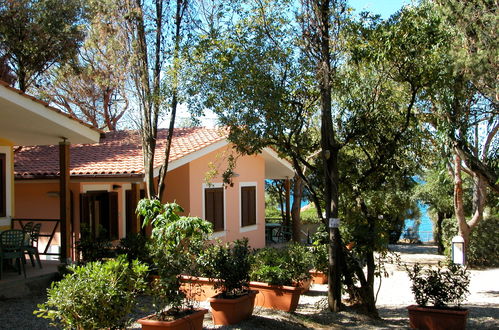 Foto 9 - Casa con 2 camere da letto a Livorno con piscina e vista mare