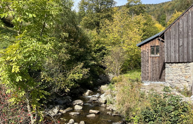 Apartamento de 3 quartos em Todtnau com jardim e terraço - Foto 45