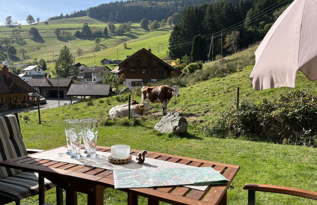Apartamento de 3 quartos em Todtnau com jardim e terraço - Foto 1