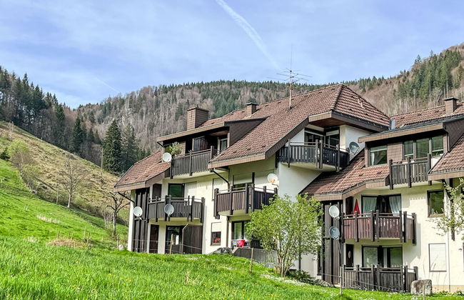 Apartamento de 3 quartos em Todtnau com jardim e terraço - Foto 33