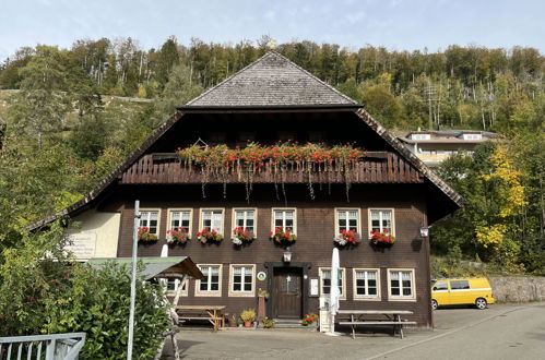 Photo 47 - Appartement de 2 chambres à Todtnau avec terrasse et vues sur la montagne