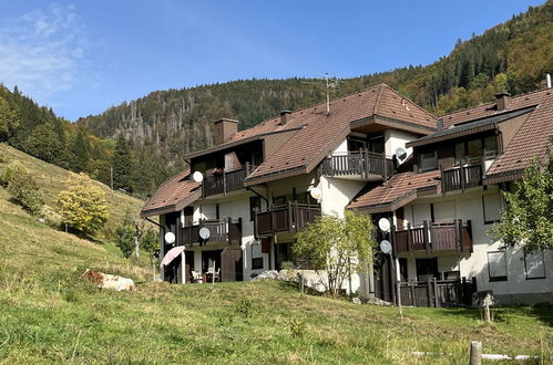 Photo 29 - Appartement de 2 chambres à Todtnau avec jardin et terrasse