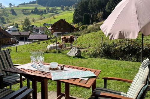 Foto 10 - Appartamento con 2 camere da letto a Todtnau con terrazza e vista sulle montagne