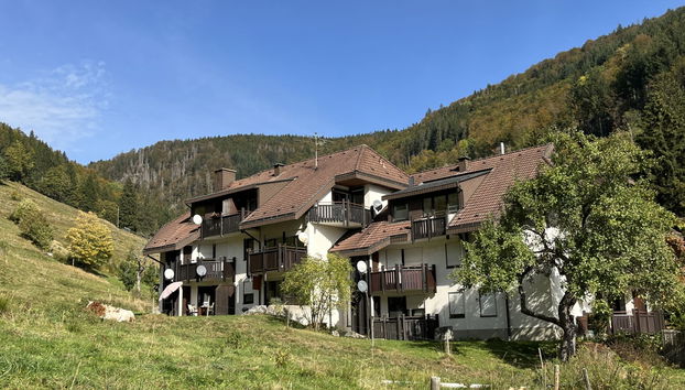 Appartement de 3 chambres à Todtnau avec jardin et terrasse - Photo 2