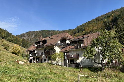 Photo 2 - Appartement de 2 chambres à Todtnau avec jardin et terrasse