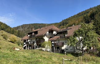 Foto 2 - Appartamento con 2 camere da letto a Todtnau con terrazza e vista sulle montagne