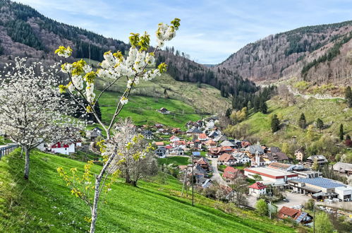 Foto 54 - Appartamento con 2 camere da letto a Todtnau con terrazza e vista sulle montagne