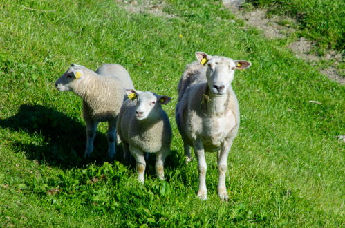 Foto 42 - Haus mit 3 Schlafzimmern in Balestrand mit garten und terrasse