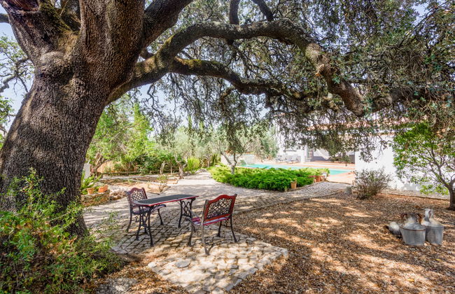Casa de 4 quartos em São Brás de Alportel com piscina privada e jardim - Foto 31