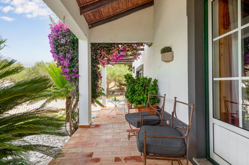 Photo 32 - Maison de 3 chambres à São Brás de Alportel avec piscine privée et jardin